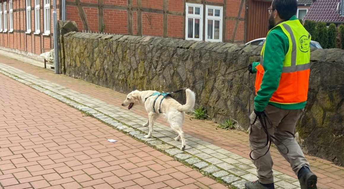 2027: Mantrailwoche Lüneburger Heide